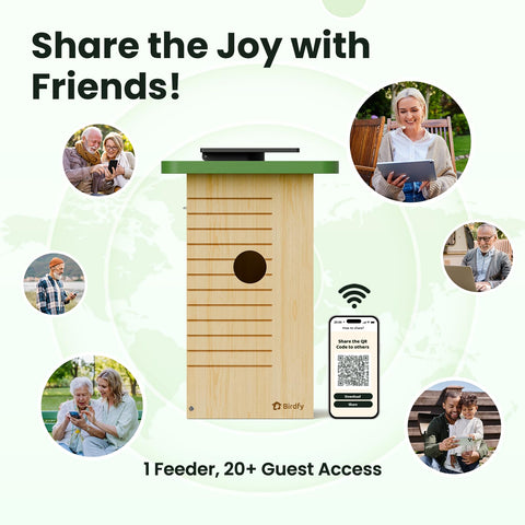Birdfy 24/7 nesting recording and notifications for ongoing updates