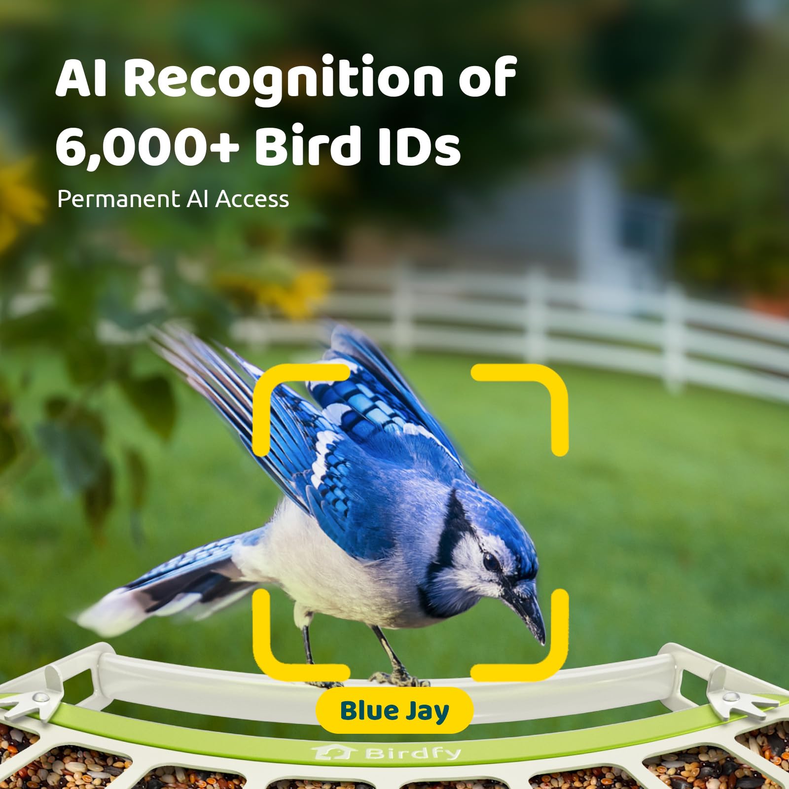 Birdfy AI identification alerts on your phone streamline species watching.