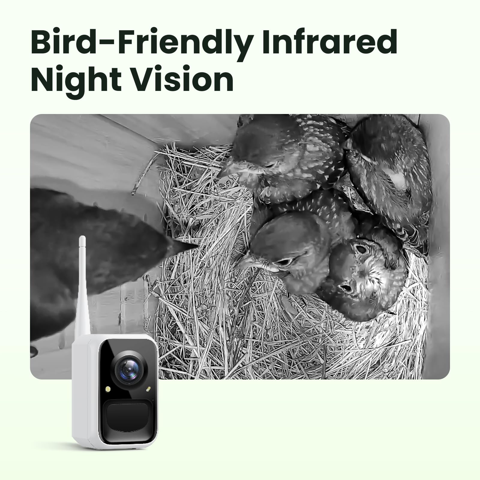 Birdfy AI identify bird species to expand backyard knowledge