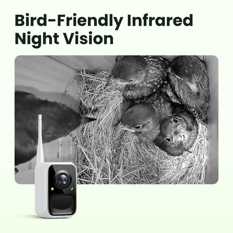 Birdfy AI identify bird species to expand backyard knowledge