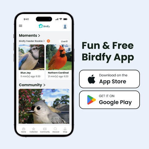 Birdfy app notifies you when birds arrive.