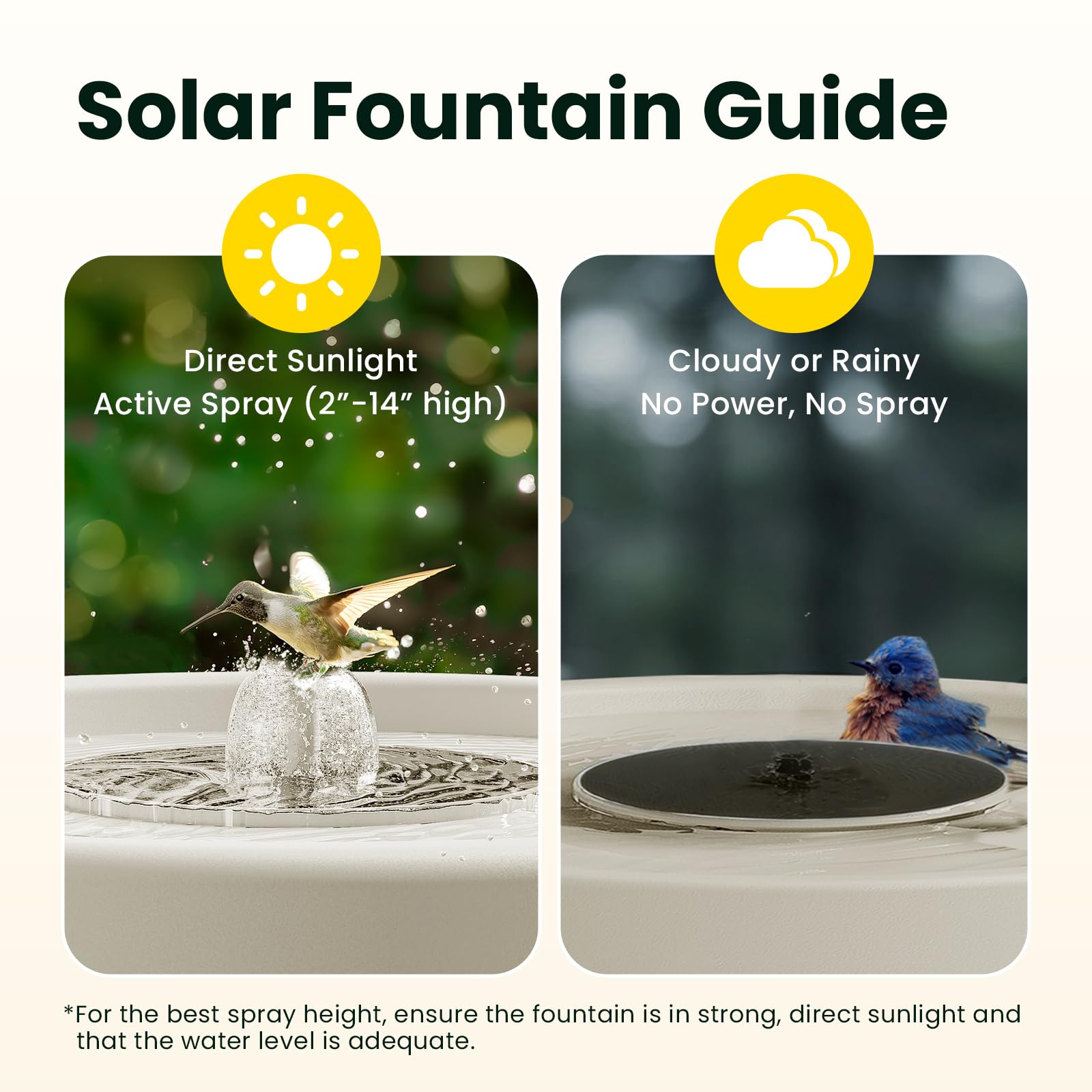 Birdfy Bath Pro all-weather basin withstands rain and sun.