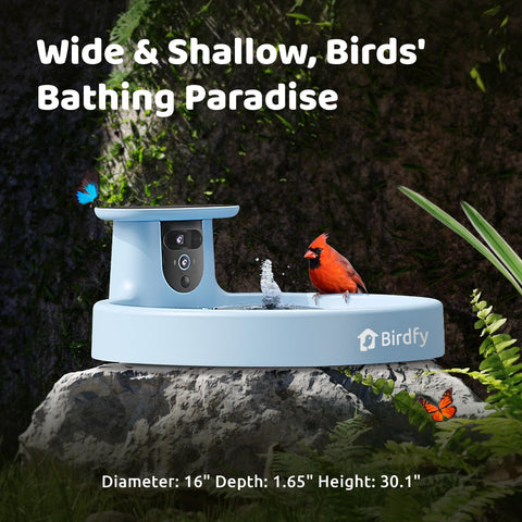 Birdfy Bath Pro app provides AI species alerts and daily highlights.