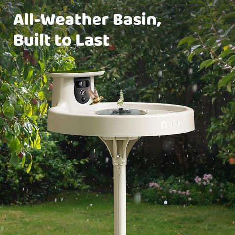 Birdfy Bath Pro garden setup enhances backyard bird watching.