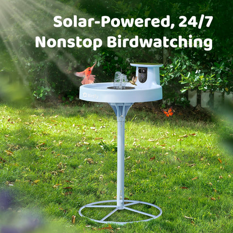 Birdfy Bath Pro detachable components simplify cleaning and charging.