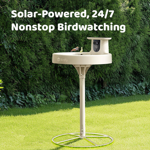 Birdfy Bath Pro detachable camera and basin simplify cleaning.