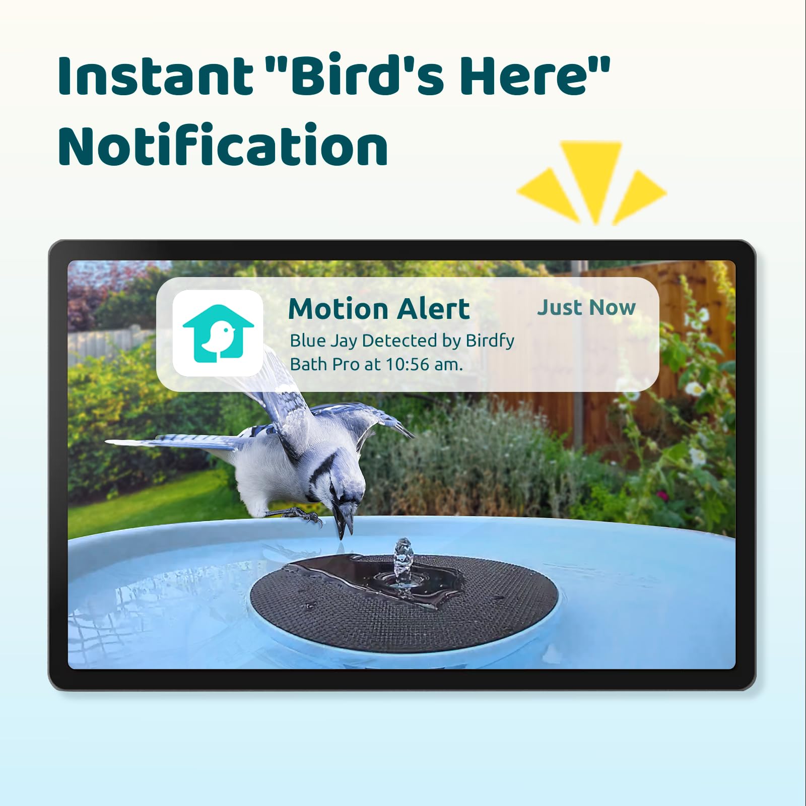 Birdfy Bath Pro dual-lens camera captures sharp 2K video of visiting birds.