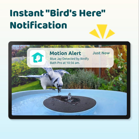 Birdfy Bath Pro dual-lens camera captures sharp 2K video of visiting birds.