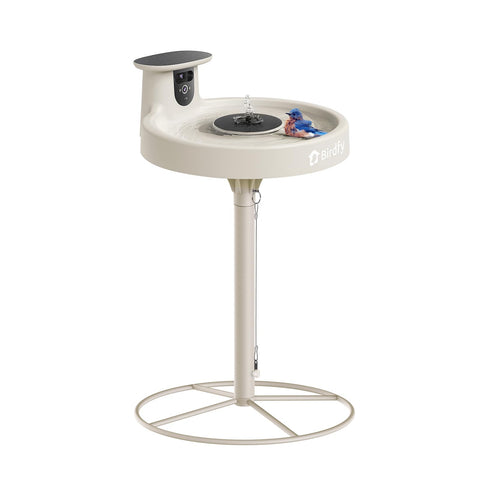 Birdfy Bath Pro dual-lens camera captures birds clearly during baths.