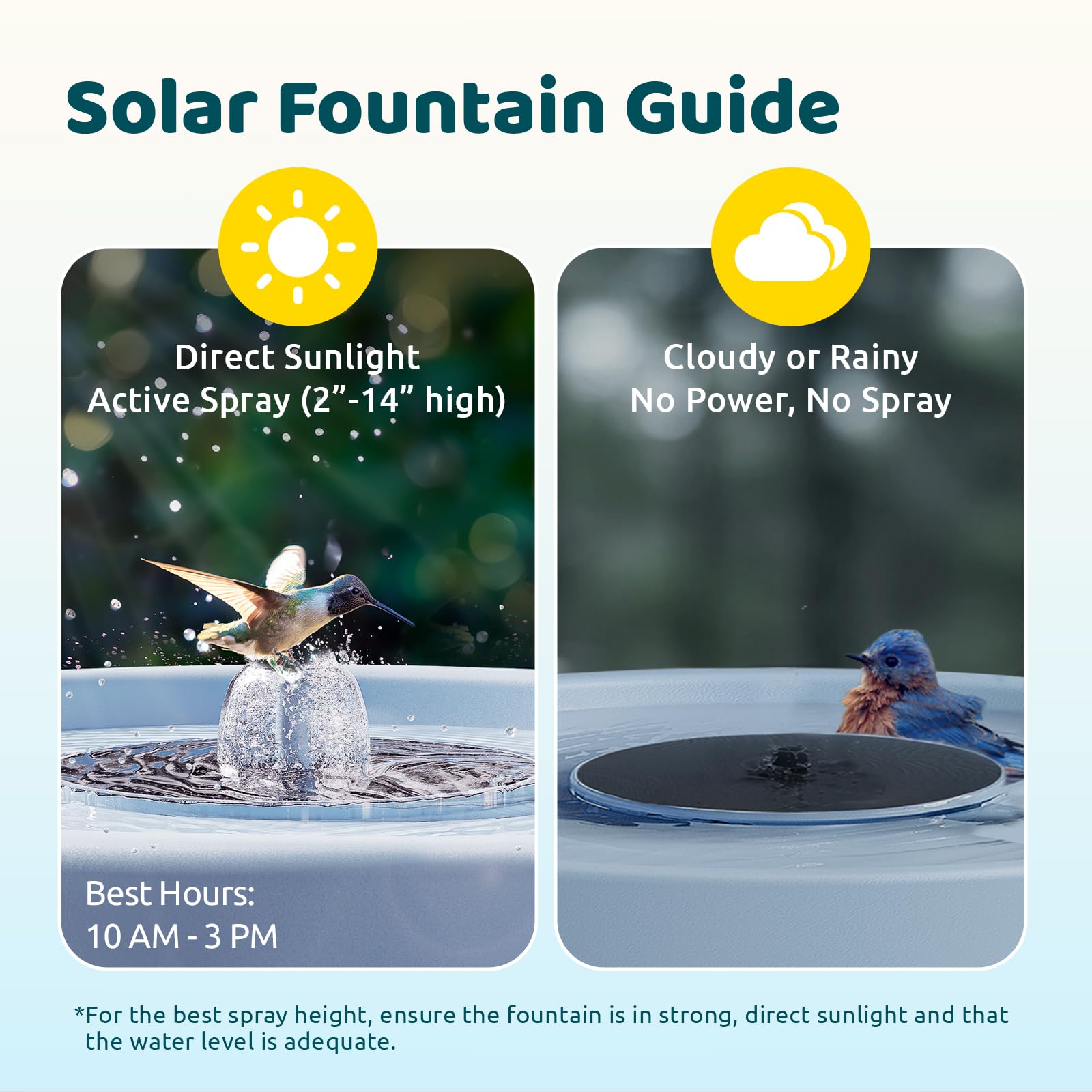 Birdfy Bath Pro easy plug-and-play setup saves time during installation.