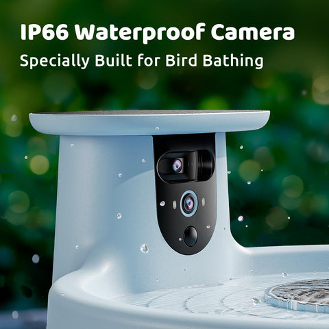 Birdfy Bath Pro garden setup invites peaceful birdwatching moments.