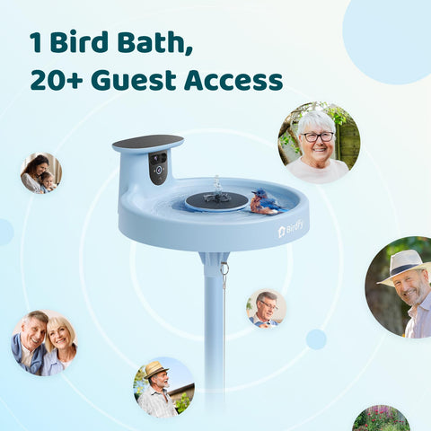 Birdfy Bath Pro interchangeable nozzles create dynamic fountain patterns.