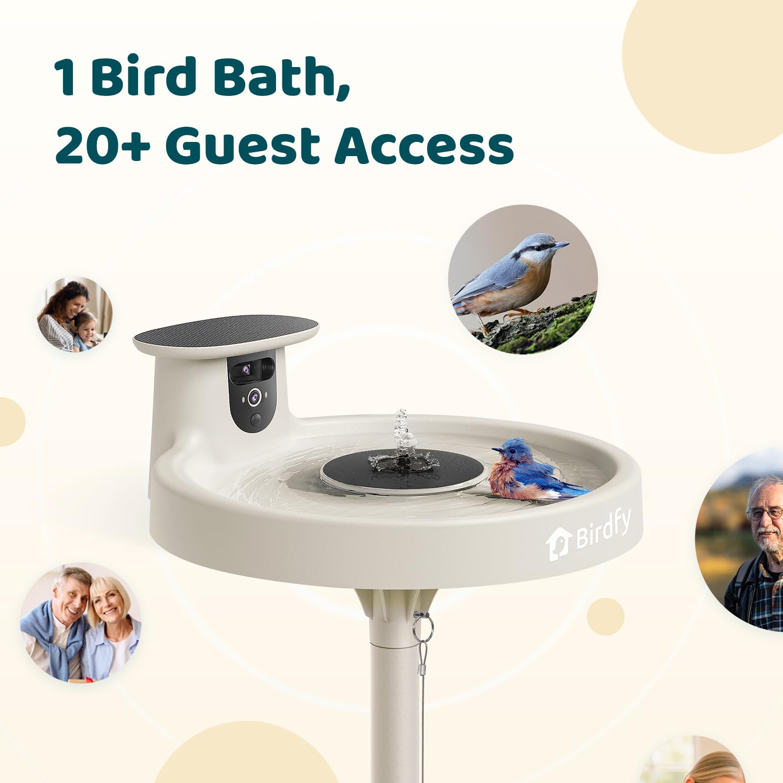 Birdfy Bath Pro IP66 rating protects against weather and dust.