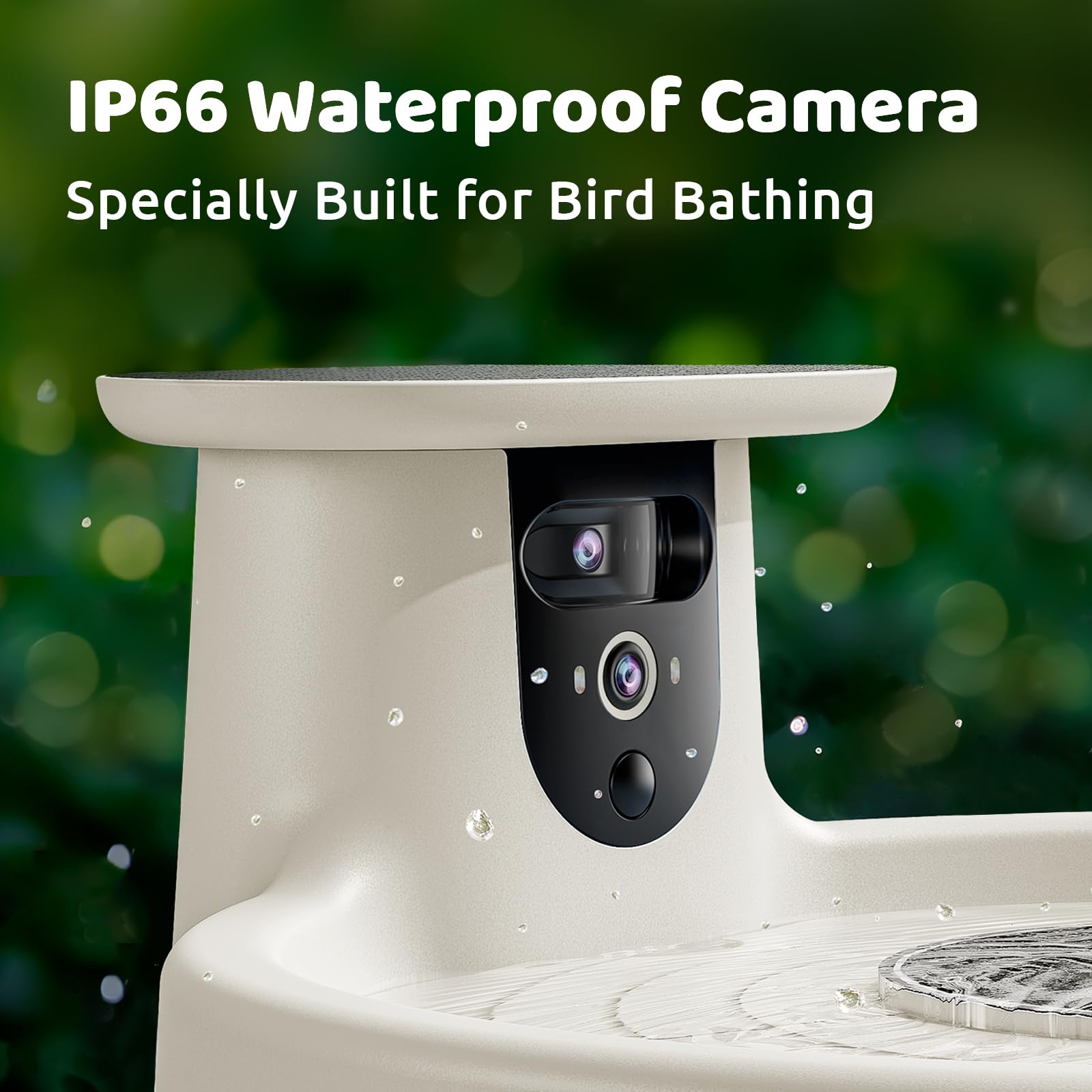 Birdfy Bath Pro plug-and-play setup for quick installation.