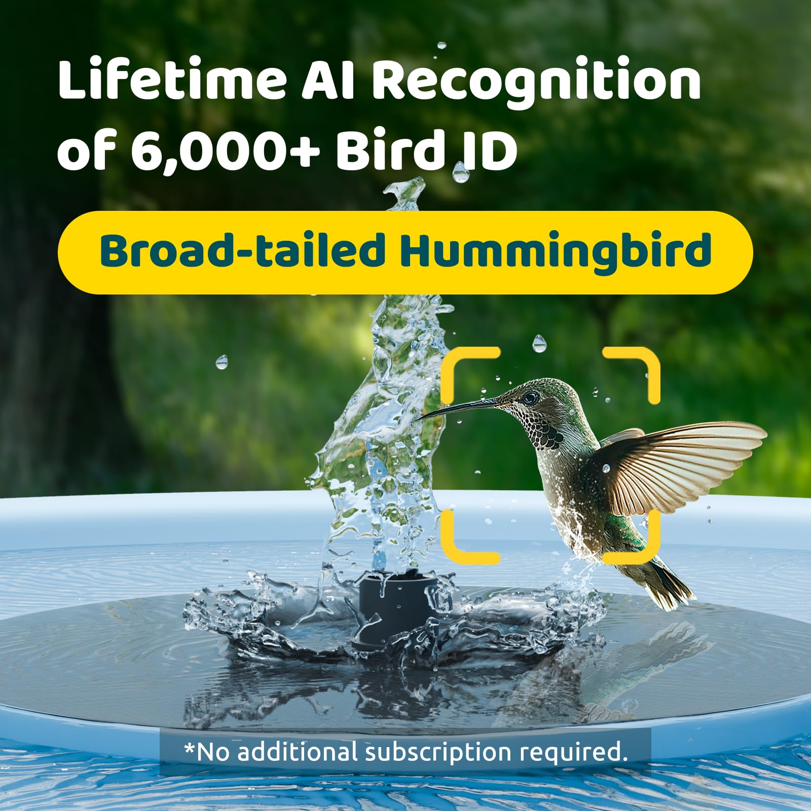 Birdfy Bath Pro solar panel powers camera and fountain for continuous use.