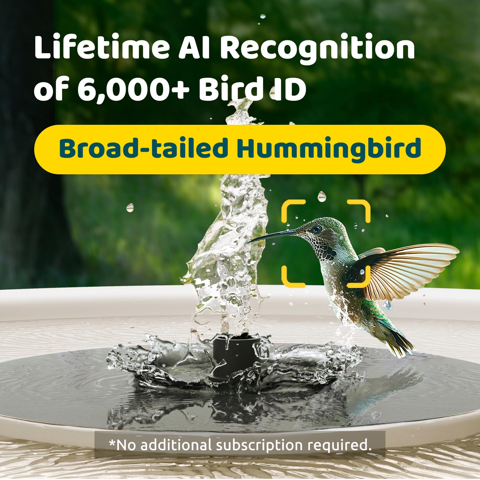 Birdfy Bath Pro solar-powered system stays powered by daylight.