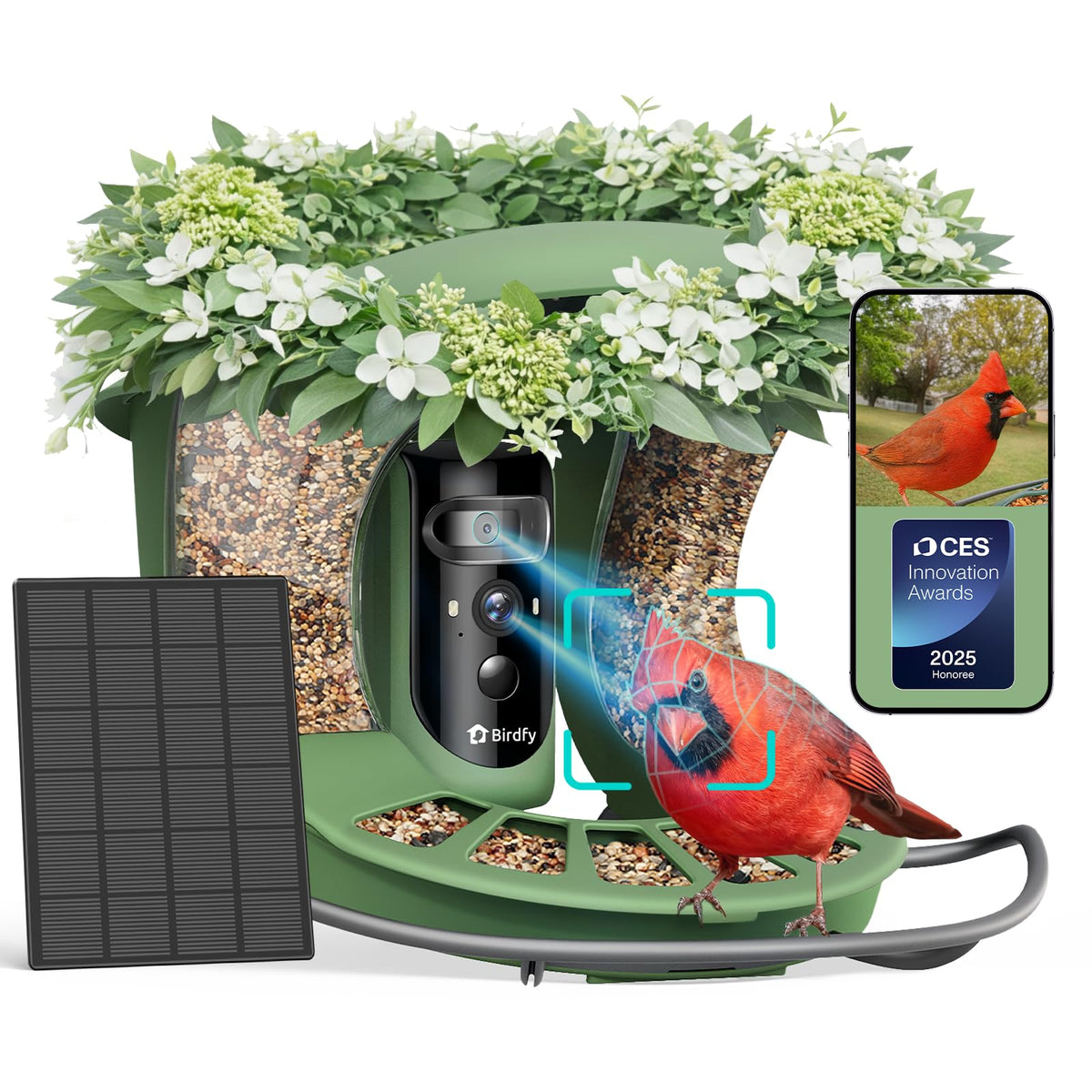 Birdfy Bird Feeder with Dual-Lens front view captures motion with cinematic detail.