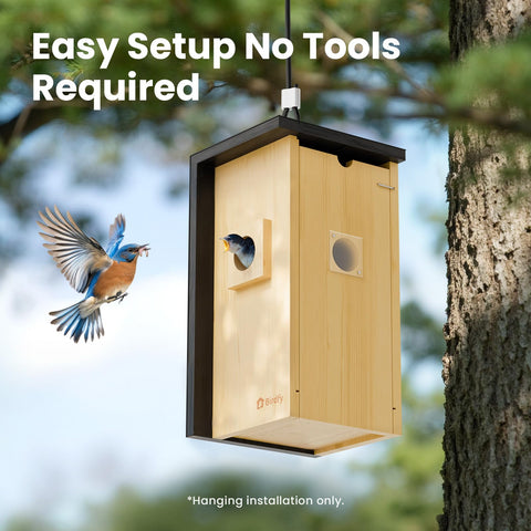 Birdfy community sharing connects bird lovers with engaging videos.