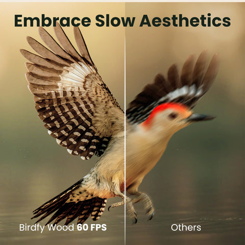 Birdfy feeder solar roof panel provides wire-free operation.