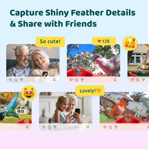 Birdfy Hum Feeder battery 9000mAh ensures reliable cloud recording and alerts.