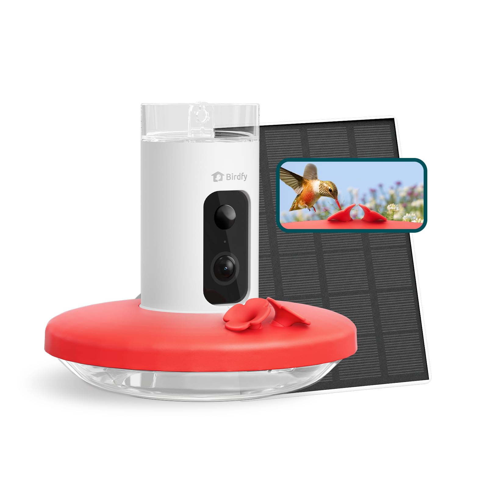 Birdfy Hum Feeder camera front view captures crisp hummingbird video for outdoor watching.