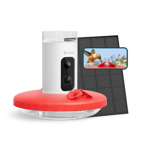 Birdfy Hum Feeder camera front view captures crisp hummingbird video for outdoor watching.