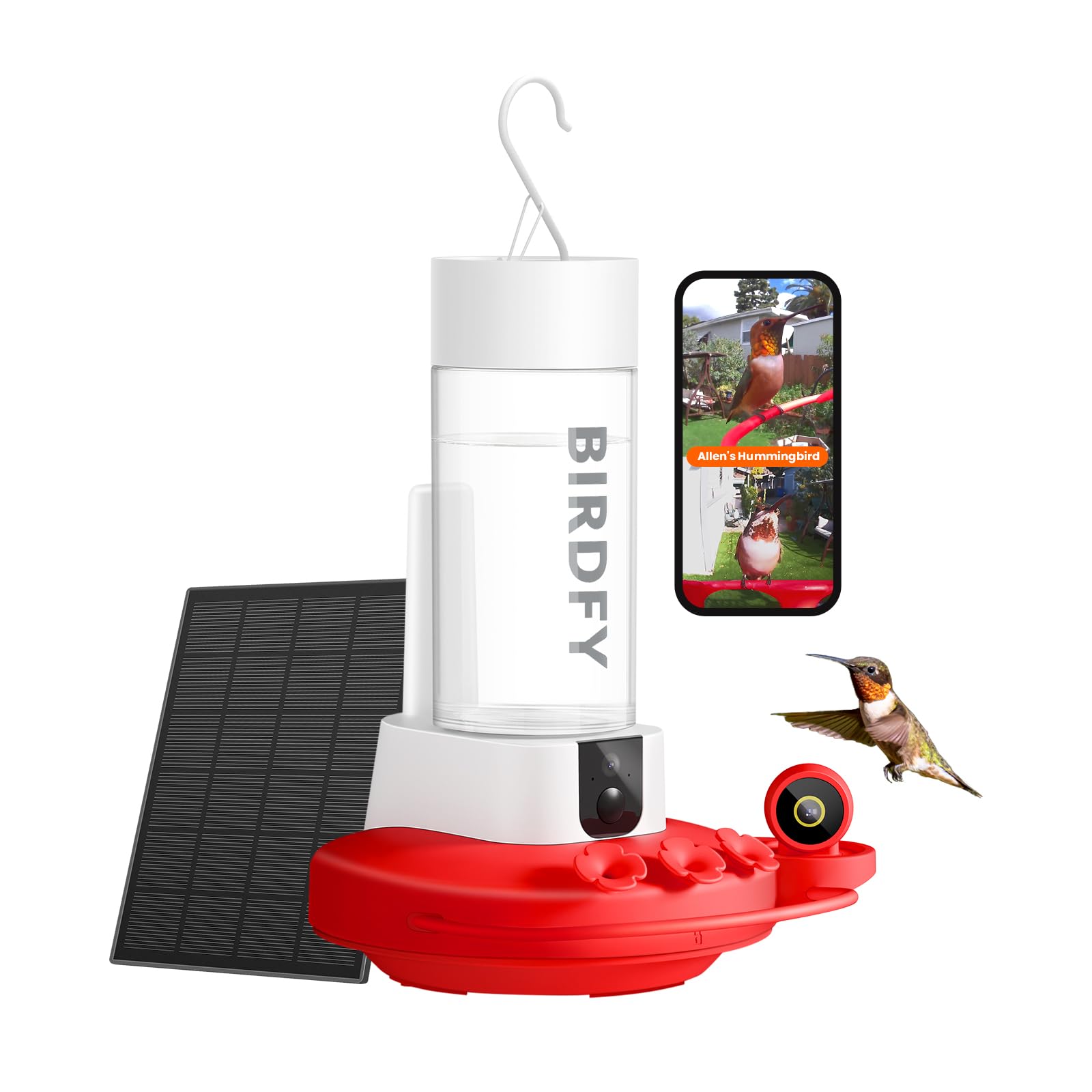 Birdfy hummingbird feeder front camera captures 2K detail for close-up viewing.