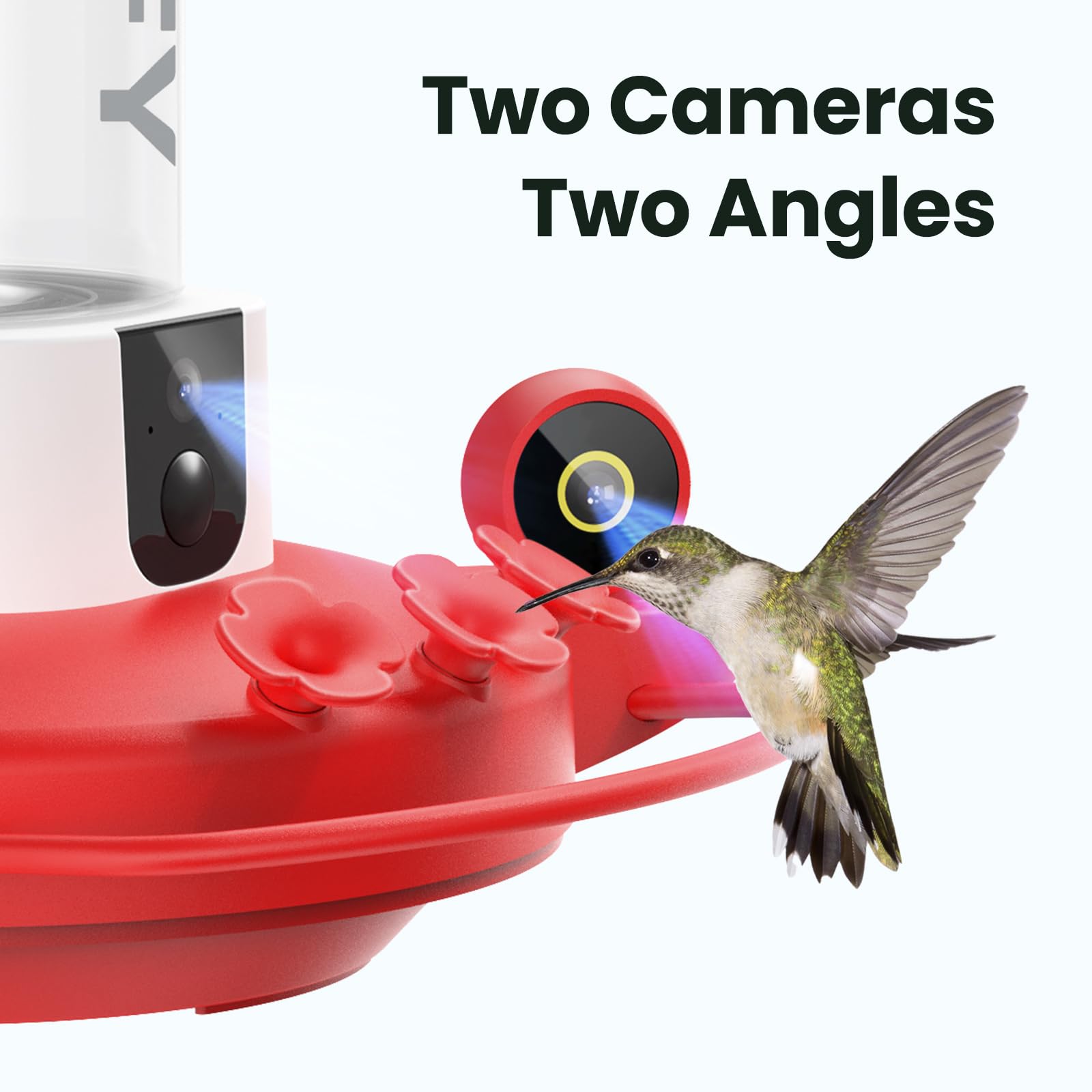 Birdfy hummingbird feeder side camera reveals feeding behavior from a flank angle.