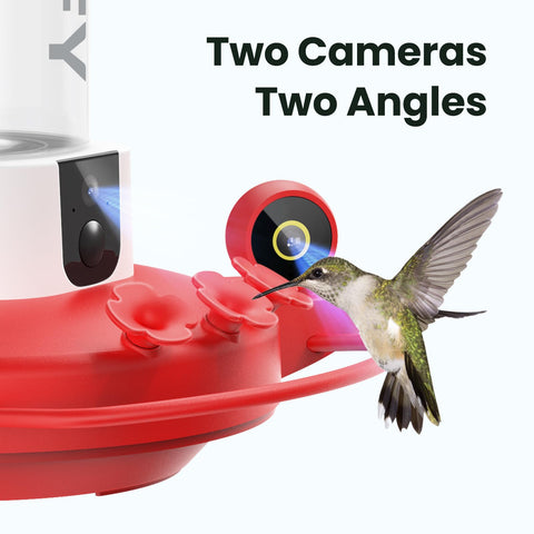Birdfy hummingbird feeder side camera reveals feeding behavior from a flank angle.