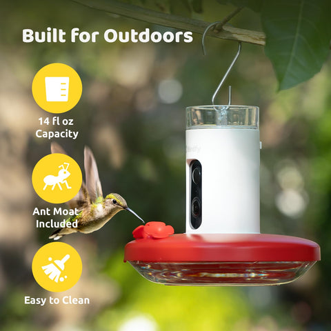 Birdfy camera feeder highlights AI recognition of hummingbird species visiting your garden