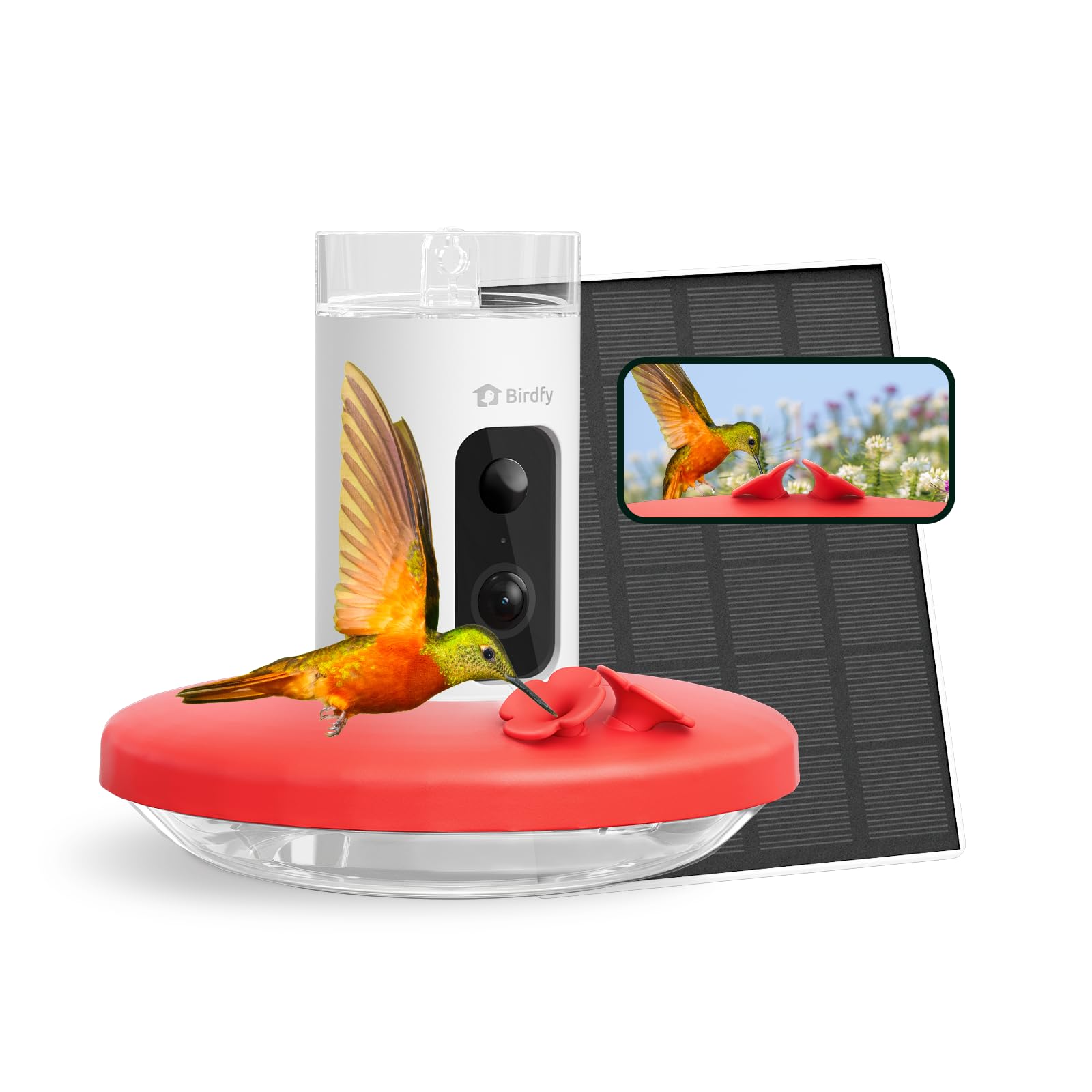Birdfy hummingbird feeder camera front view delivers crisp 1080p footage for backyard viewing.