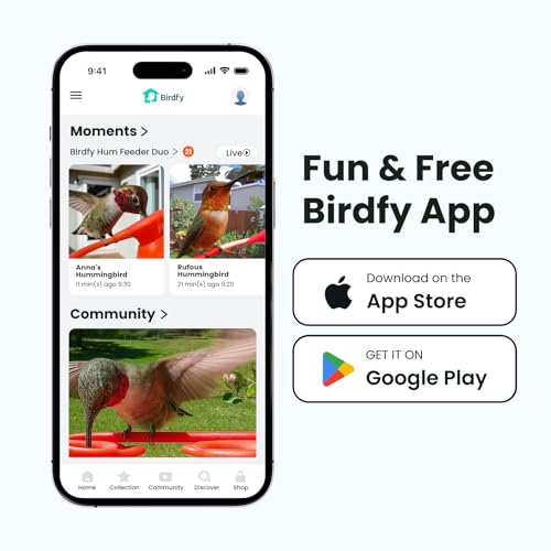 Birdfy hummingbird app sharing enables family and friends to watch.