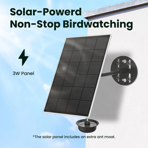 Birdfy tool-free design simplifies setup and cleaning for easy maintenance