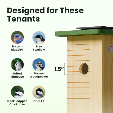 Birdfy infrared night vision captures nocturnal nest activity