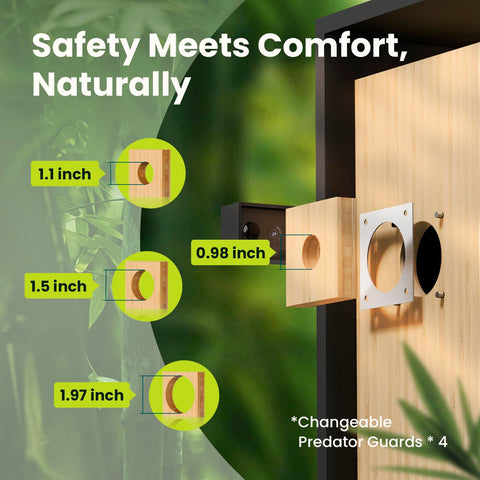 Birdfy Nest Duo AI identify features help track nesting moments