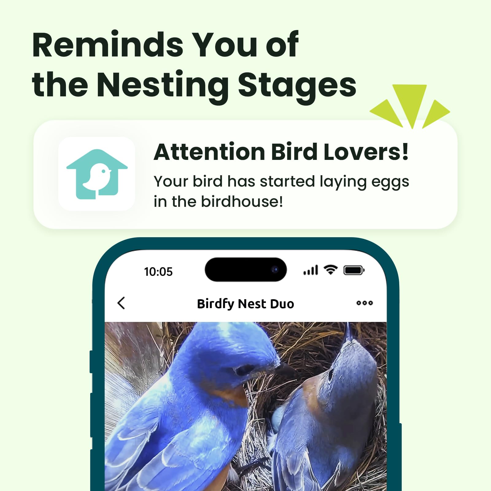 Birdfy Nest Duo bamboo housing adds natural aesthetics to the setup