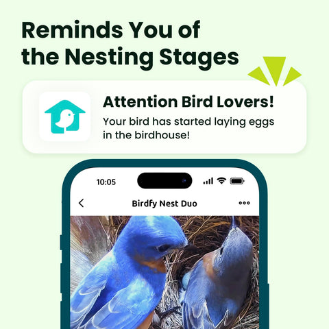 Birdfy Nest Duo bamboo housing adds natural aesthetics to the setup