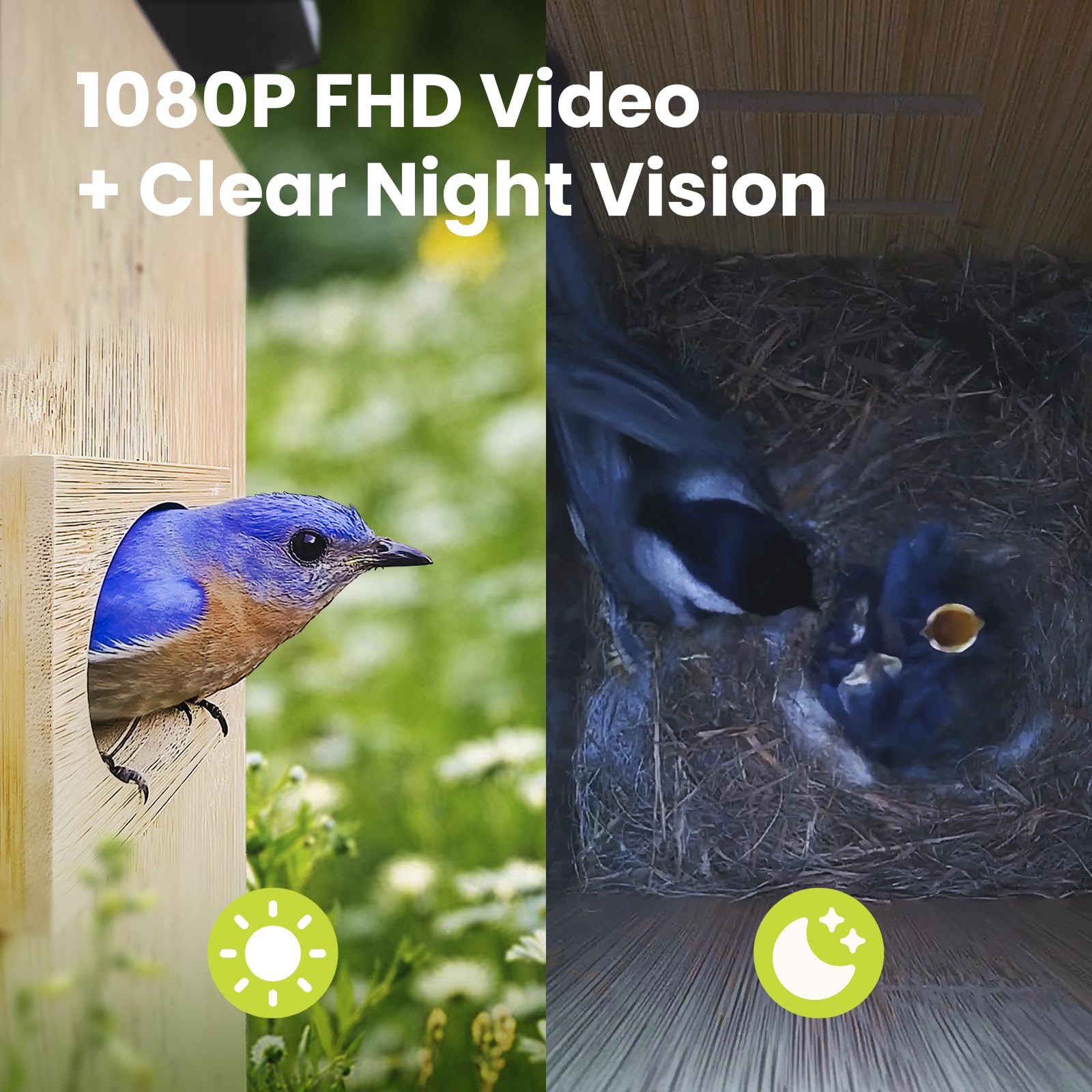 Birdfy Nest Duo customizable entrance guards protect nesting birds