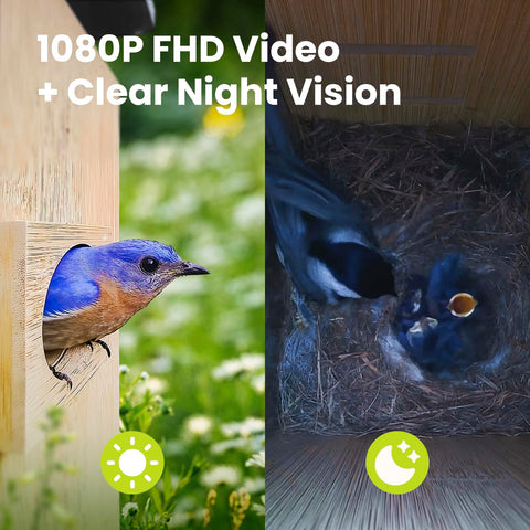 Birdfy Nest Duo customizable entrance guards protect nesting birds