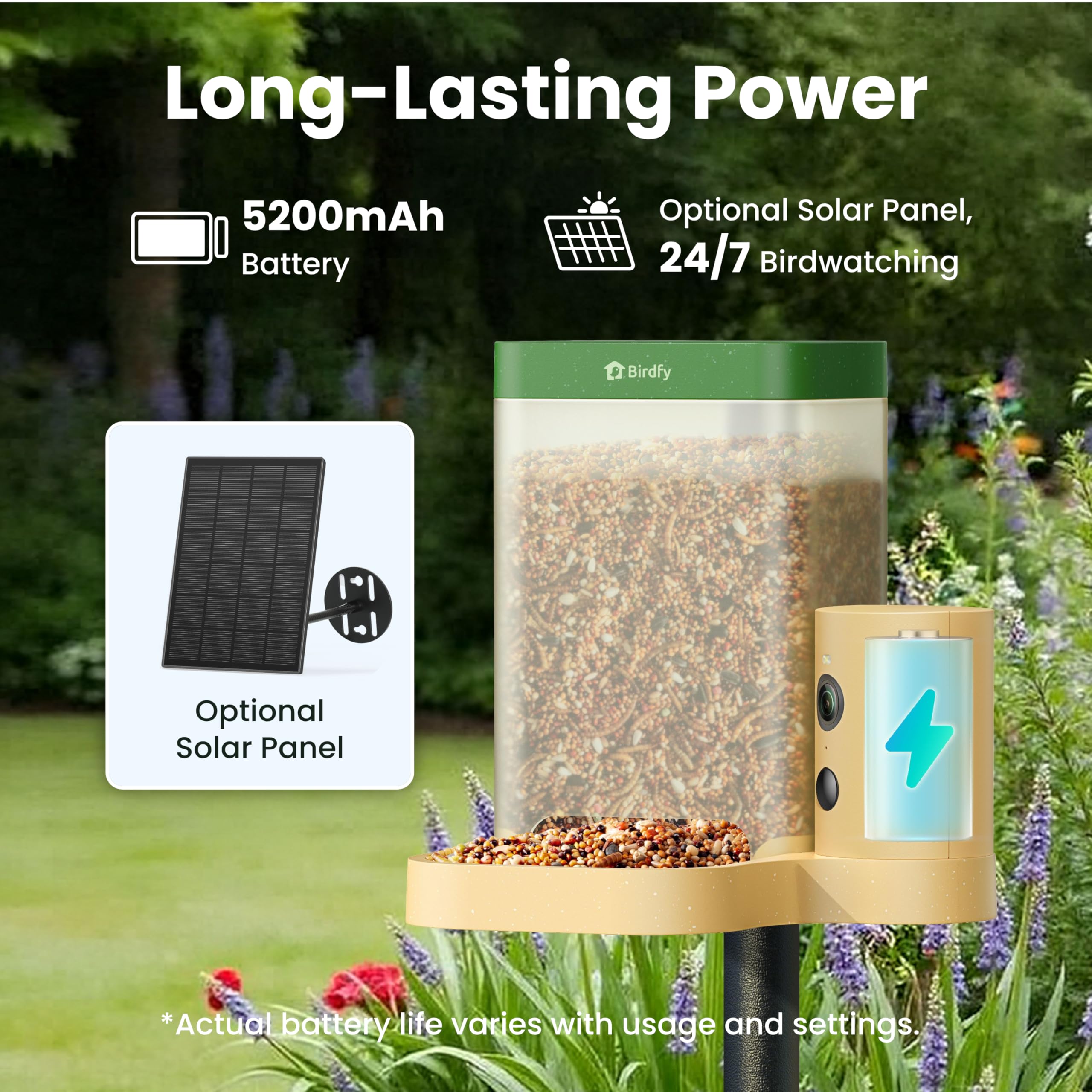 Birdfy Rookie 1080p camera captures clear daytime detail with color night vision