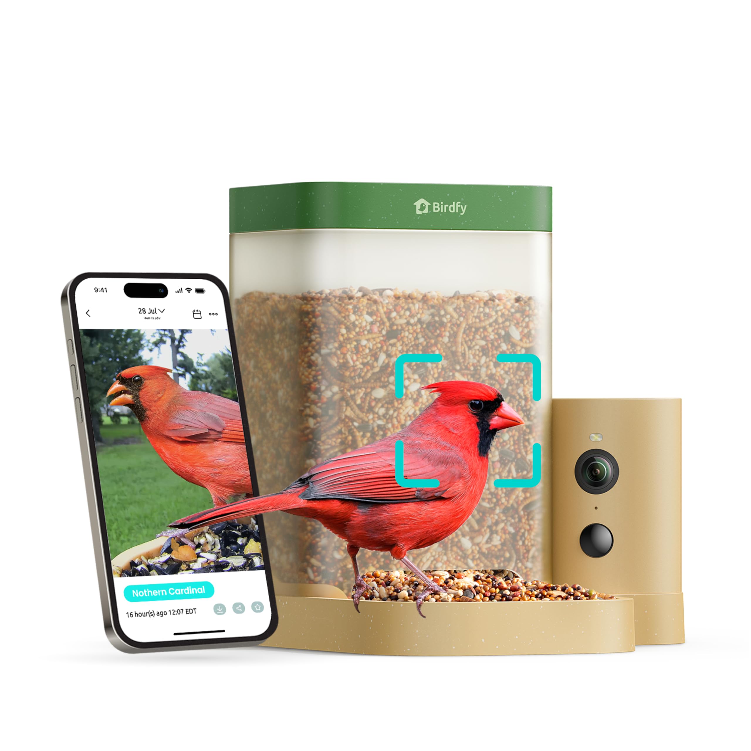 Birdfy Rookie feeder front view for easy beginner birdwatching.