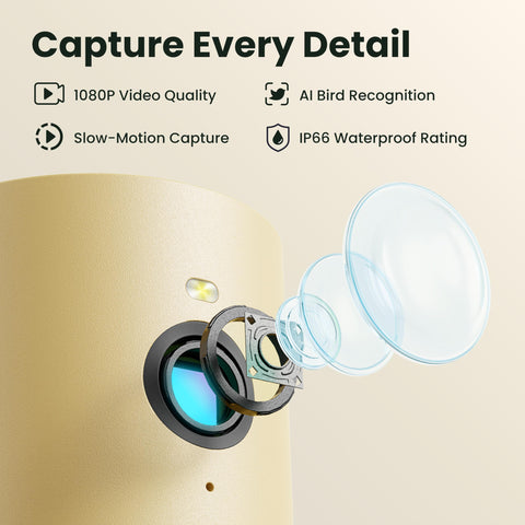 Birdfy slow-motion 60fps video captures wing motion.