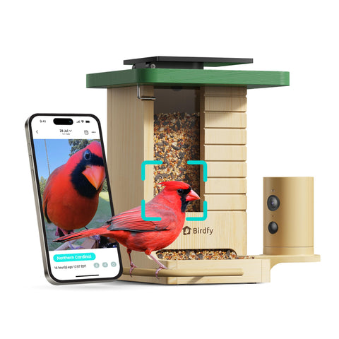 Birdfy smart bird feeder camera exterior in natural fir wood for a stylish backyard focal point.