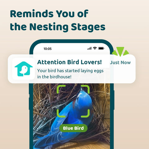 Birdfy Smart Bird House bamboo exterior provides natural, durable outdoor housing.