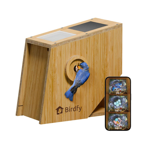 Birdfy Smart Bird House camera nest view delivers crisp 1080p footage for intimate nest monitoring.