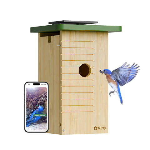 Birdfy Smart Bird House with camera exterior view for real-time nesting monitoring