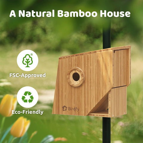 Birdfy Smart Bird House night vision captures clear footage after dark for continuous watching.