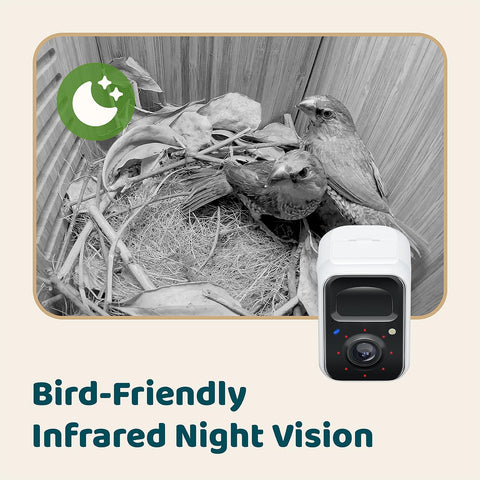 Birdfy Smart Bird House 2.4GHz Wi‑Fi connects for remote viewing and updates.