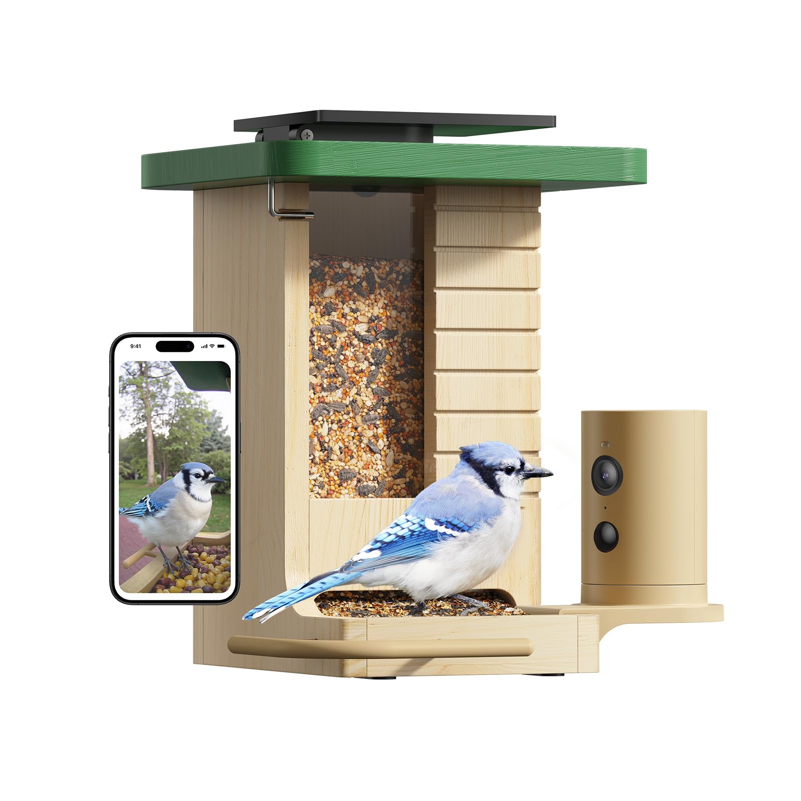Birdfy Smart Feeder in natural fir wood enhances backyard aesthetics.
