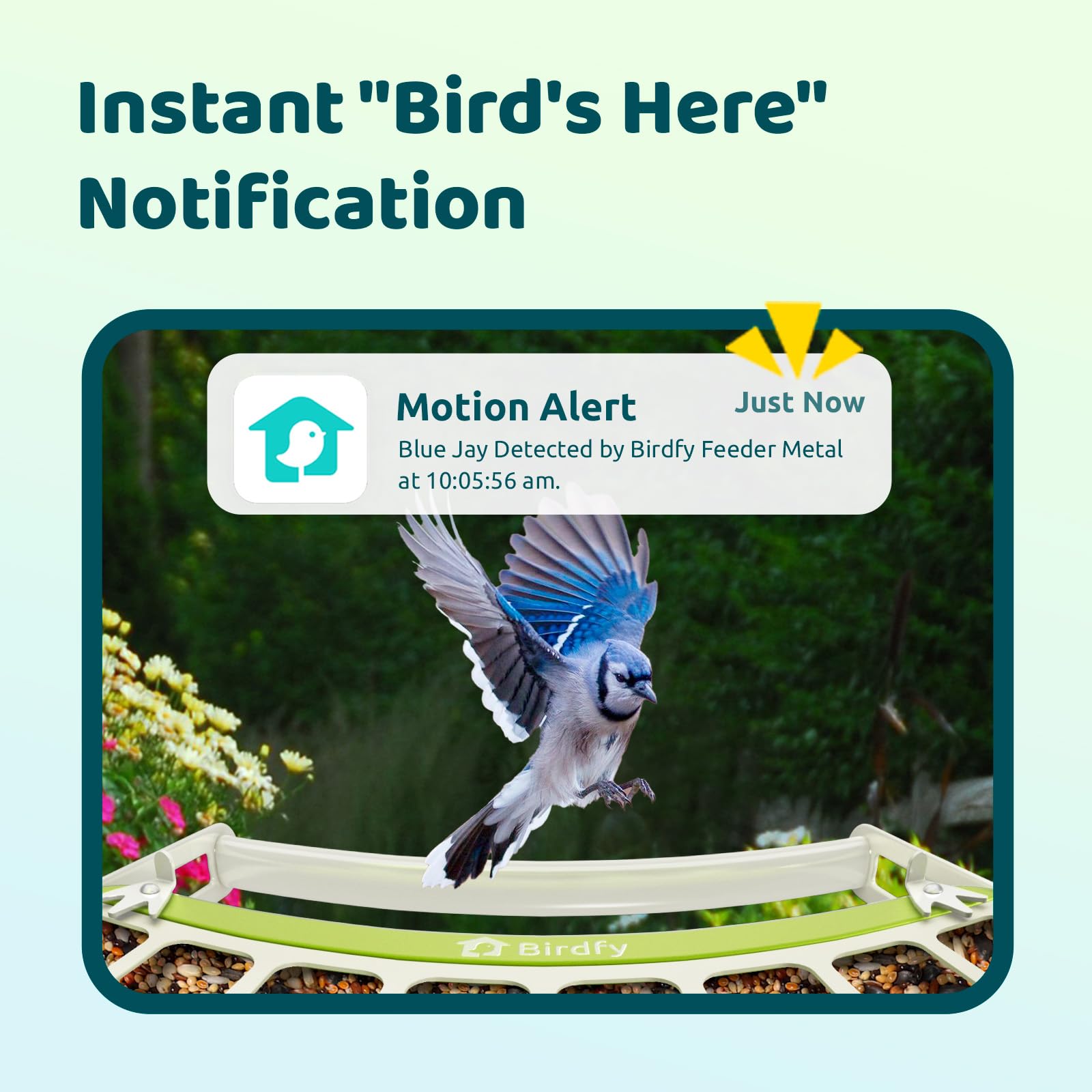 Birdfy Squirrel-proof design minimizes feeder interference for visiting birds.